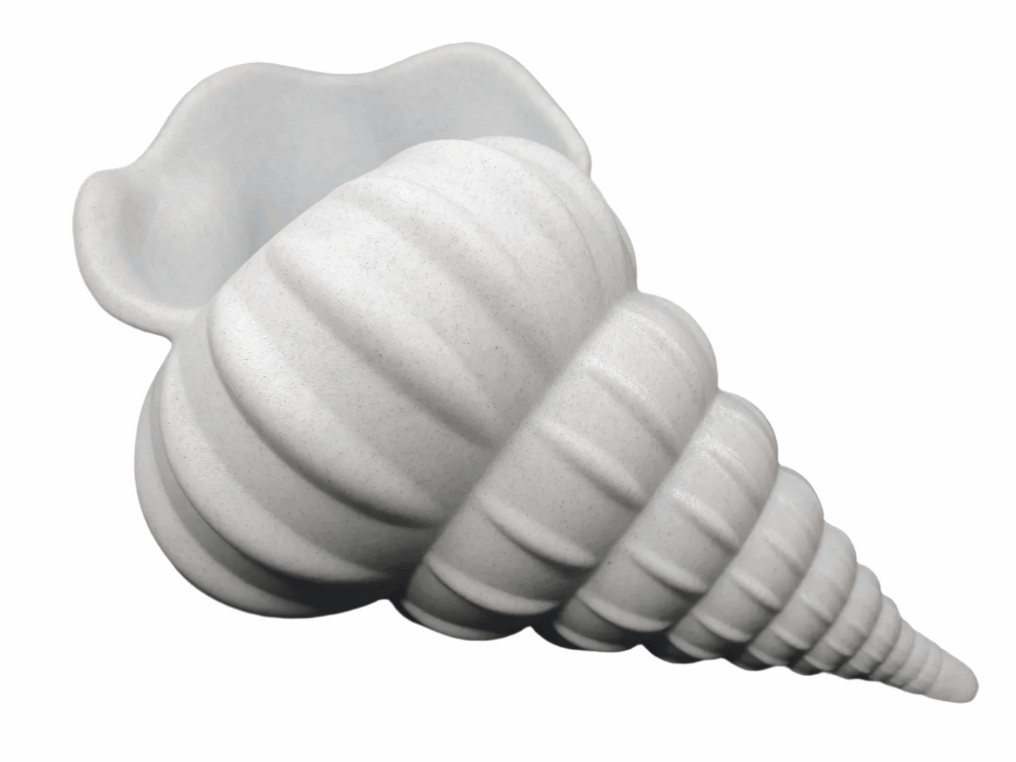 Elegant Seashell-Shaped Flower Pot