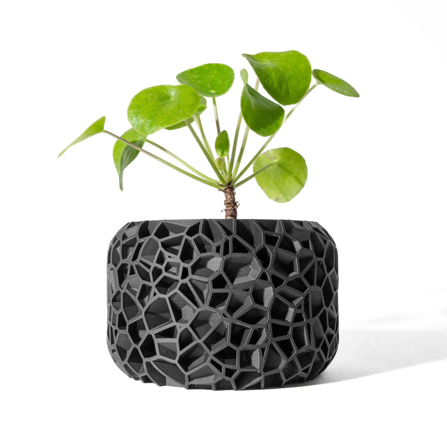 Planter Pot – Stylish 3D-Printed Decorative Plant Holder