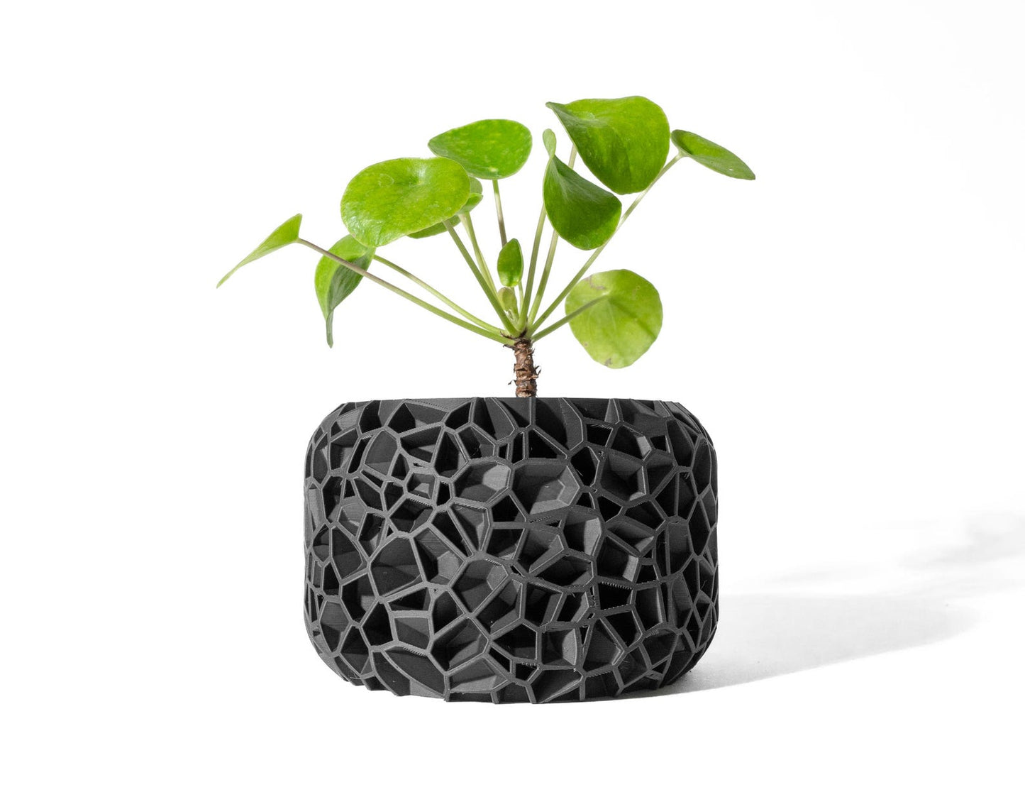 Planter Pot – Stylish 3D-Printed Decorative Plant Holder
