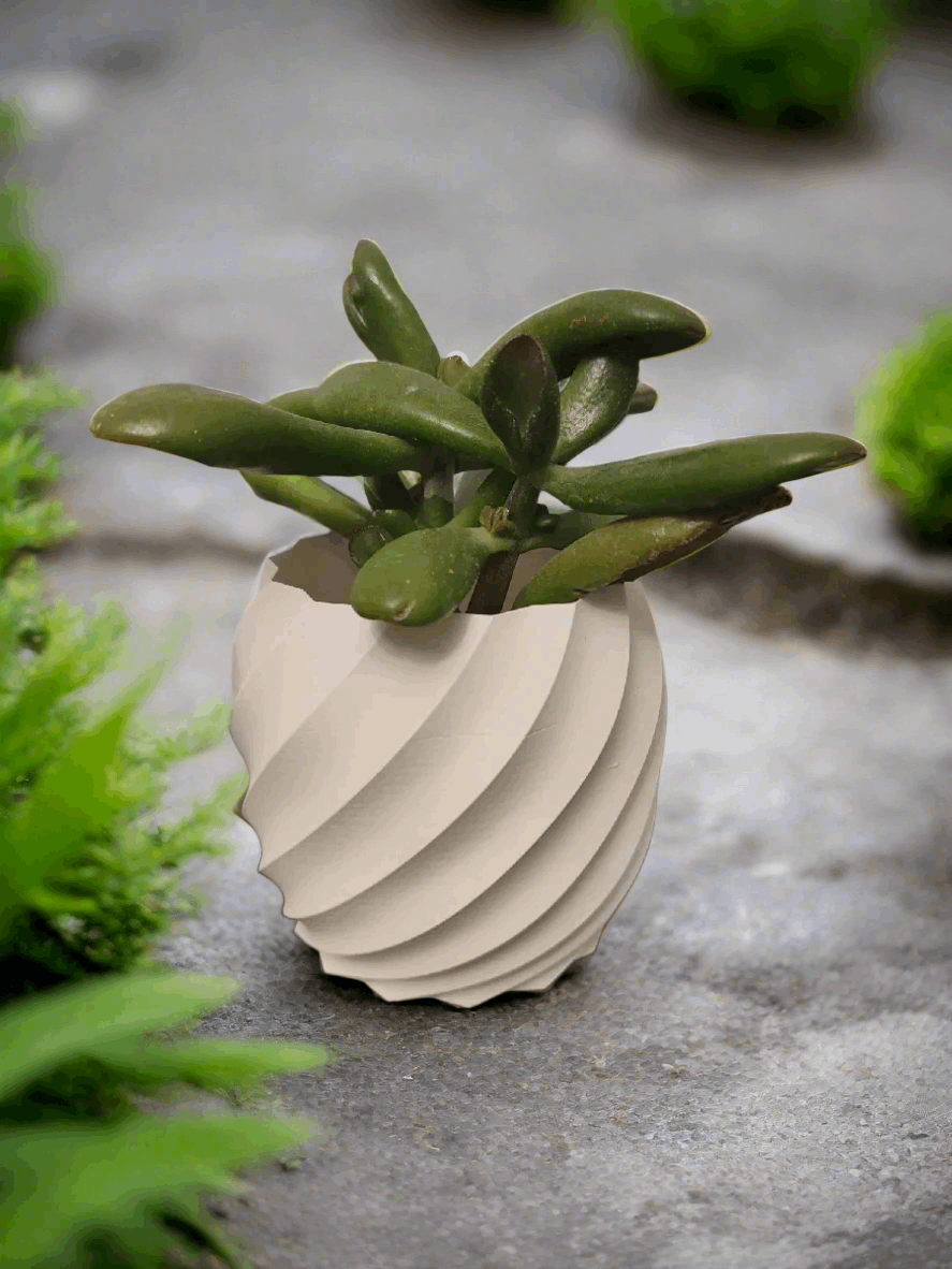 Modern Plant Vase