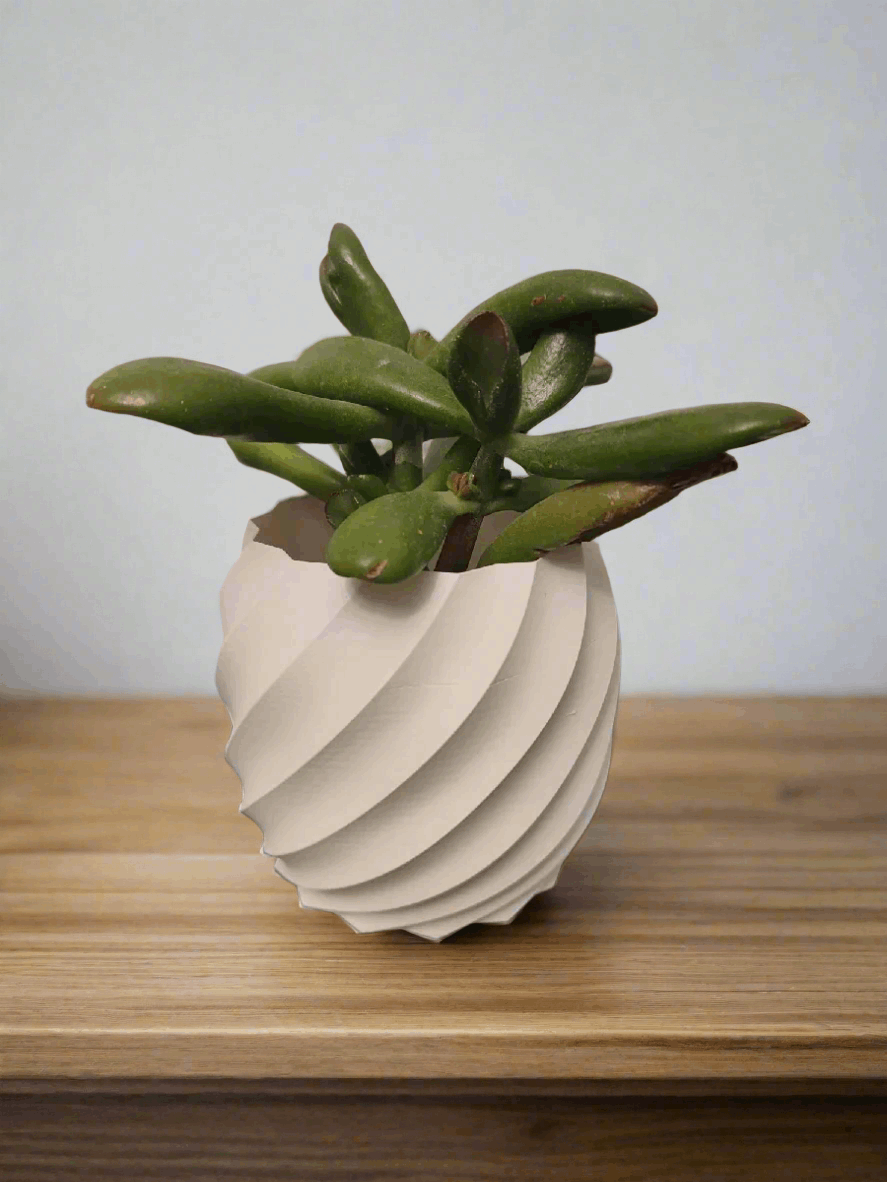 Modern Plant Vase