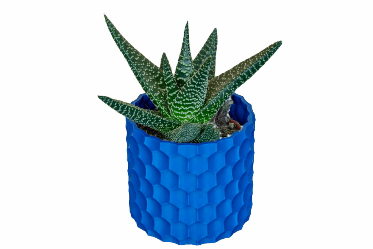 Dimple Planter - Modern Plant Holder