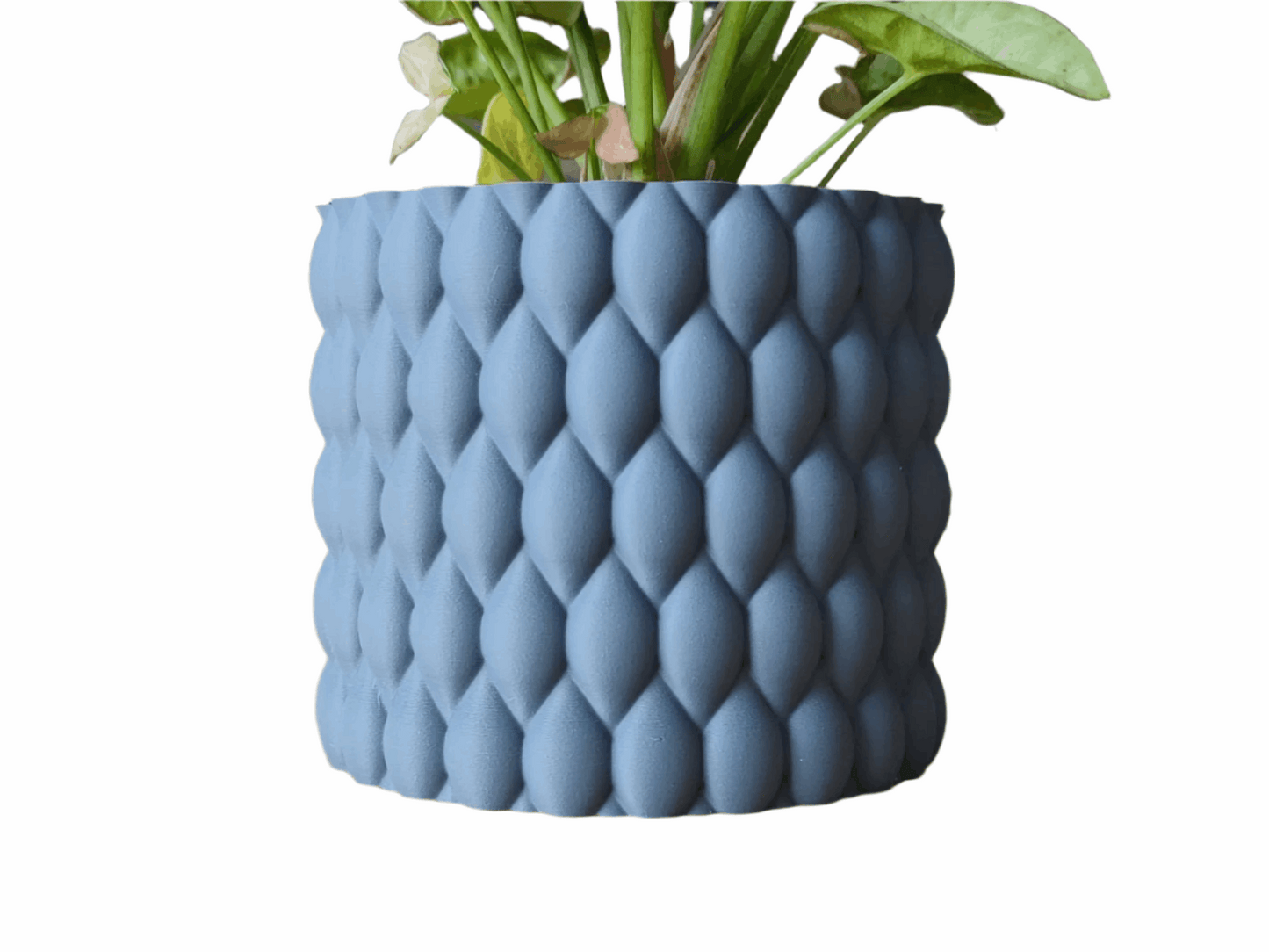 Bourbonic Tears Planter