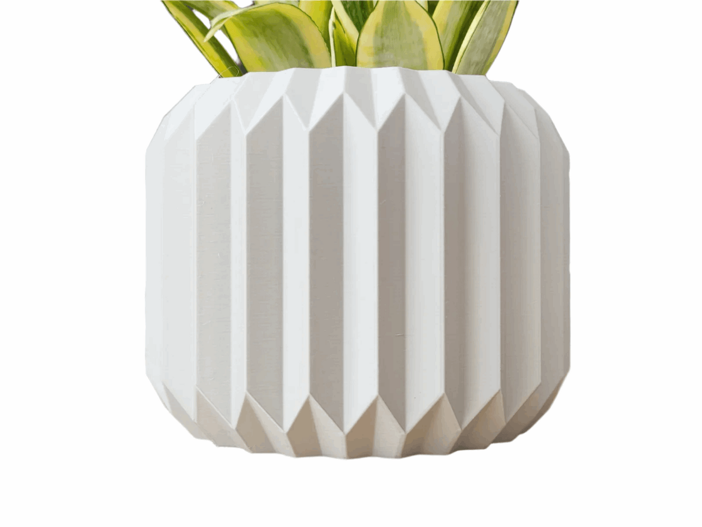 Botanical Crystal Planter