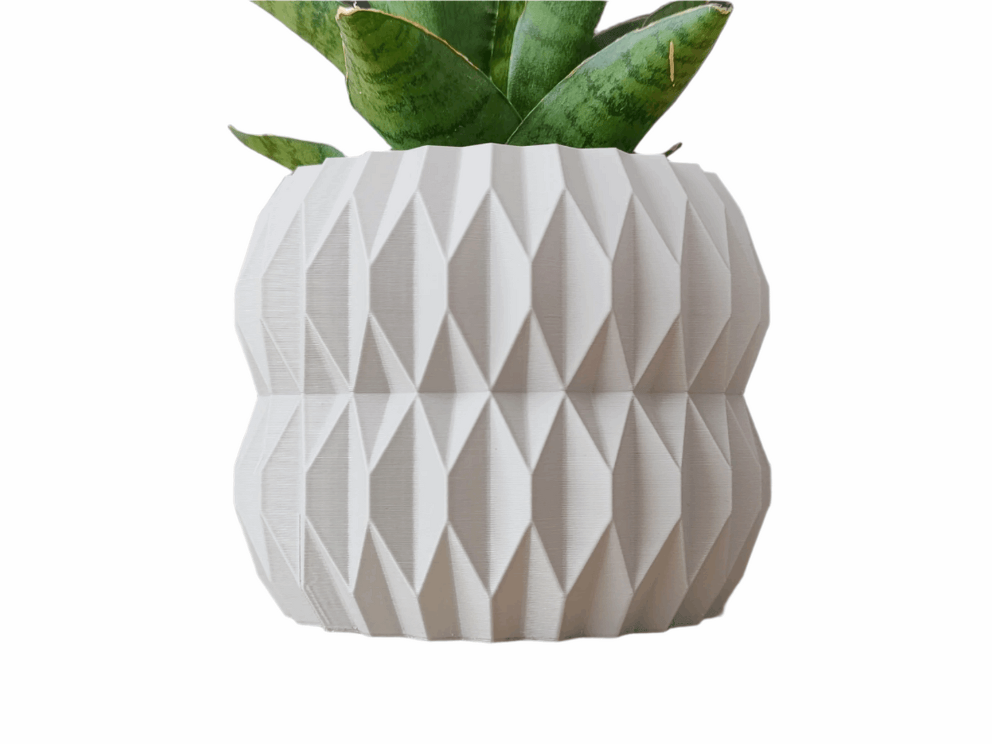 Seashell Serenity Planter