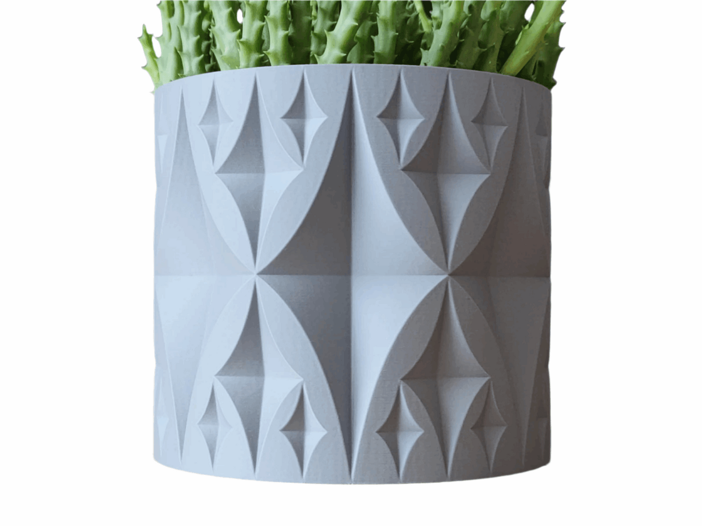 Endless Star Planter