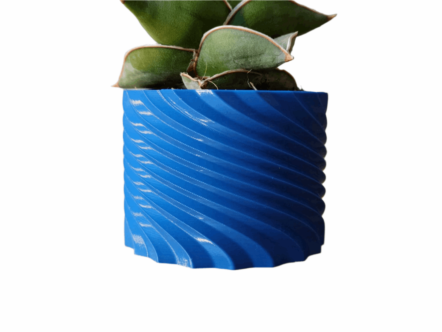 Spring Revival Planter