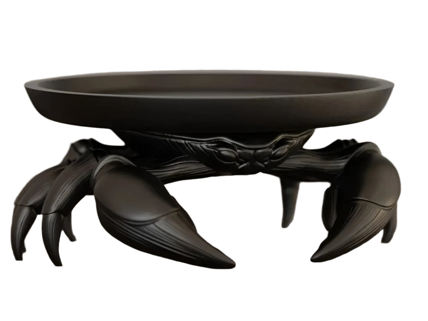 Artistic Dark Crab Claw Display: Jewelry Organizer