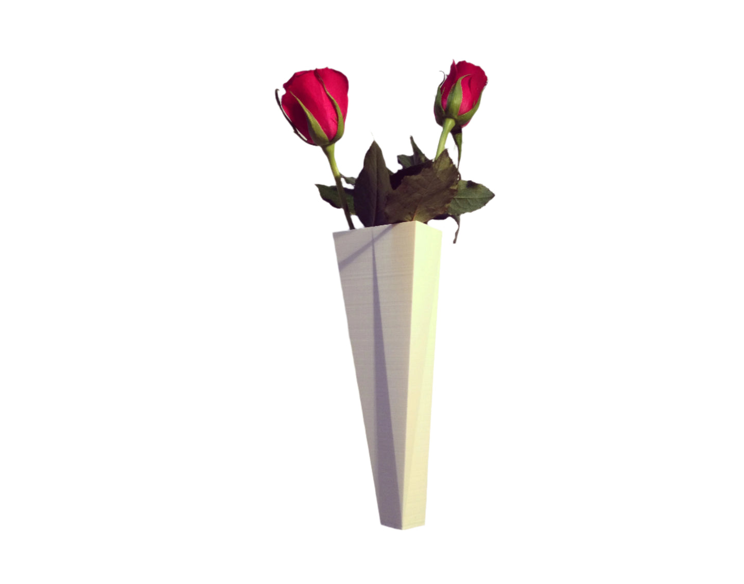 Contemporary Vase: Stylish Floral Display