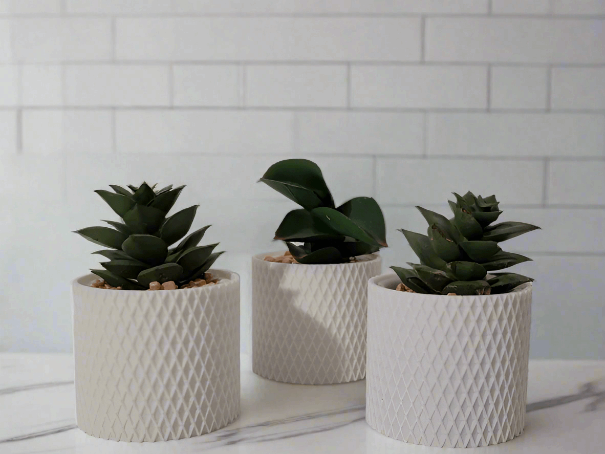 Small Plant Pot