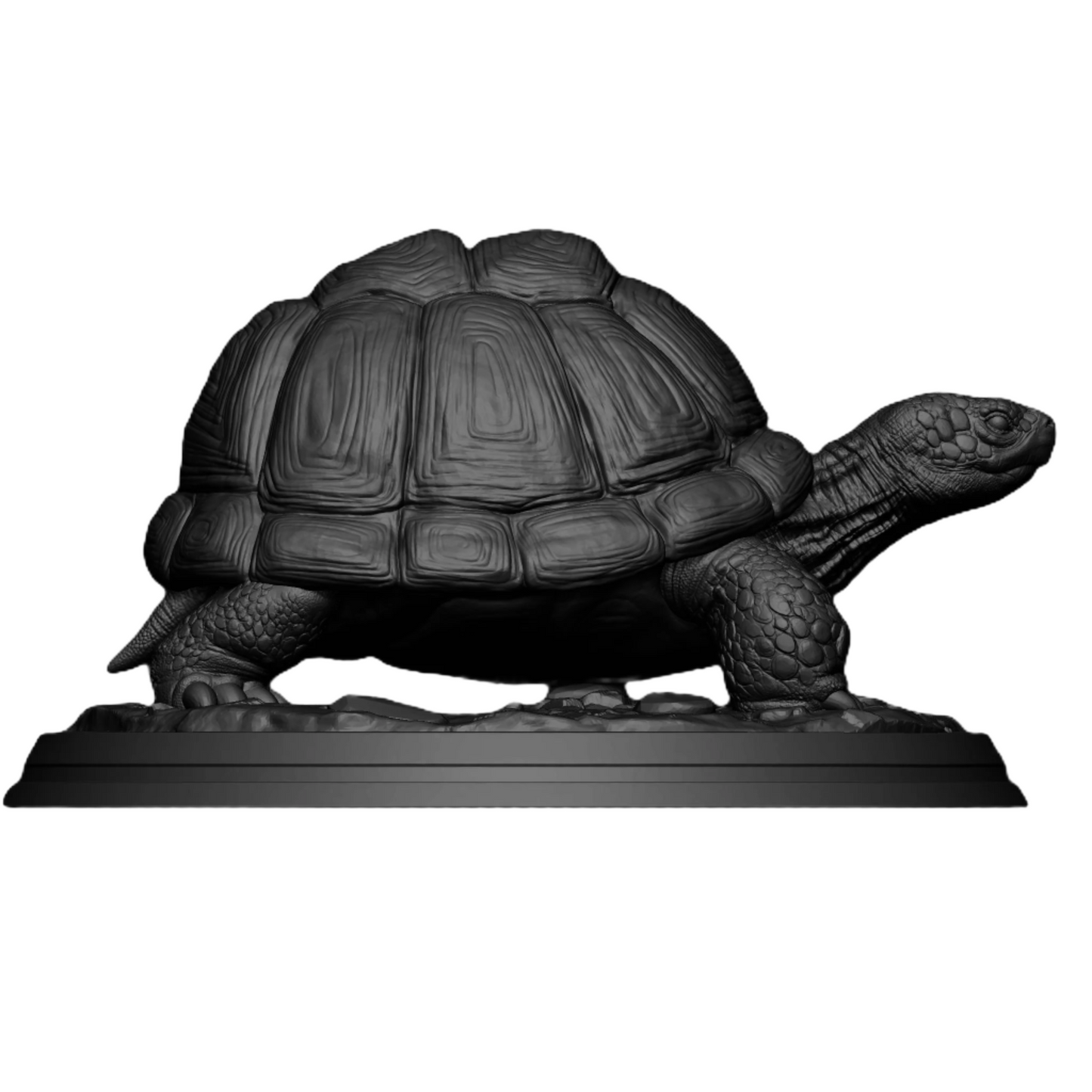 Charming Tortoise Figurine