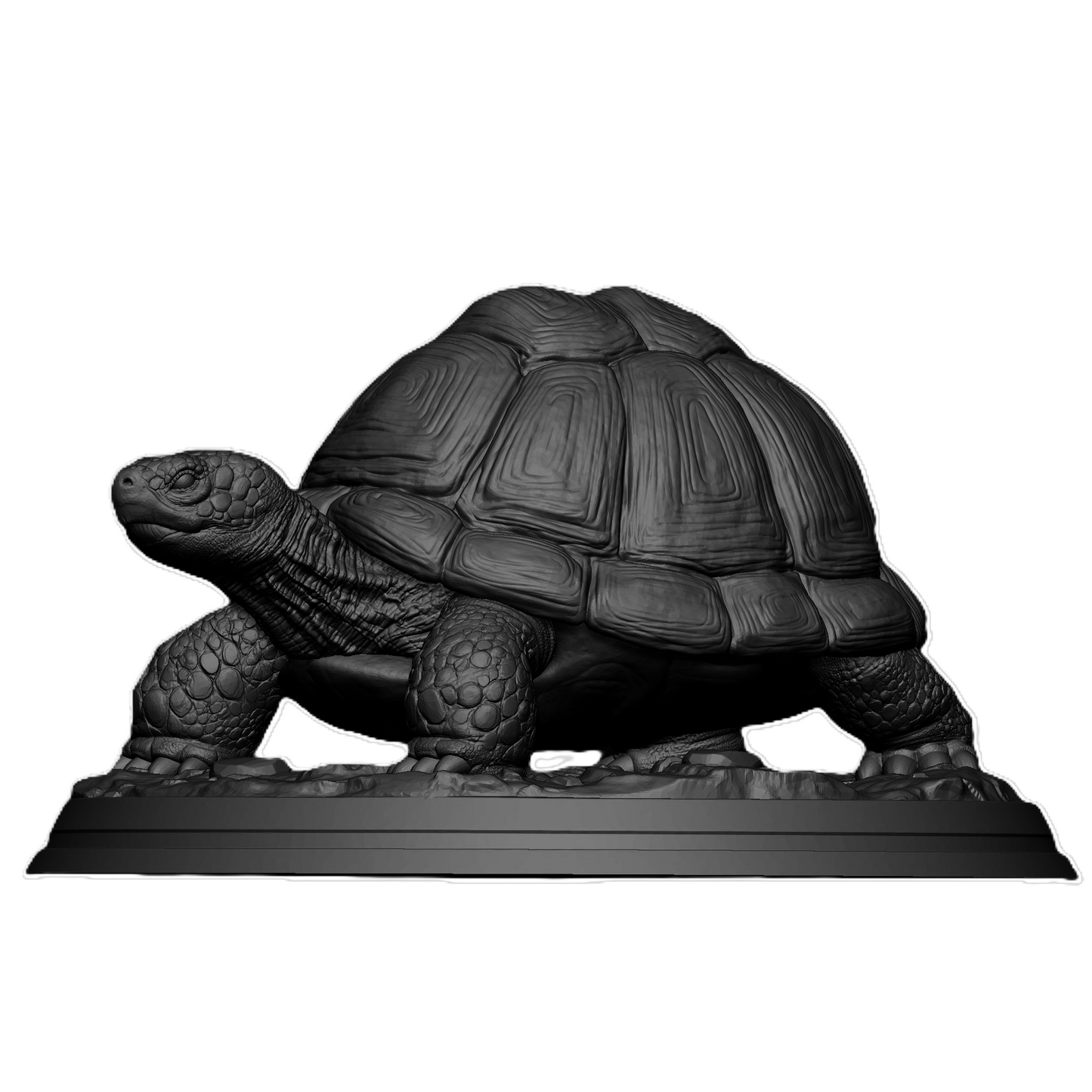 Charming Tortoise Figurine
