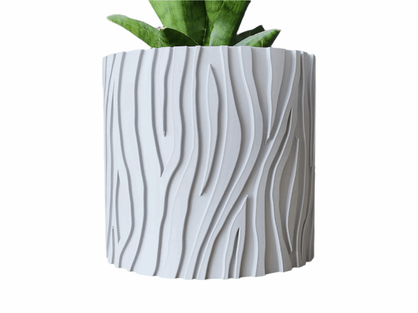 Zebra Striped Planter