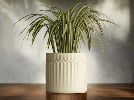 Plant Pot 3 - Modern Accent