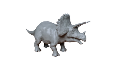 Triceratops Model