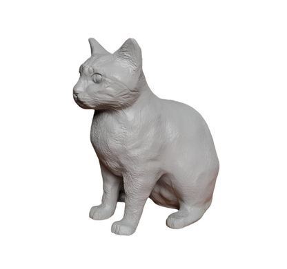 High Detail Sitting Cat