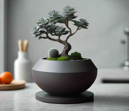 Minimalist Bonsai Planter Bowl