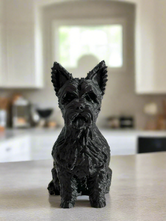Terrier Dog