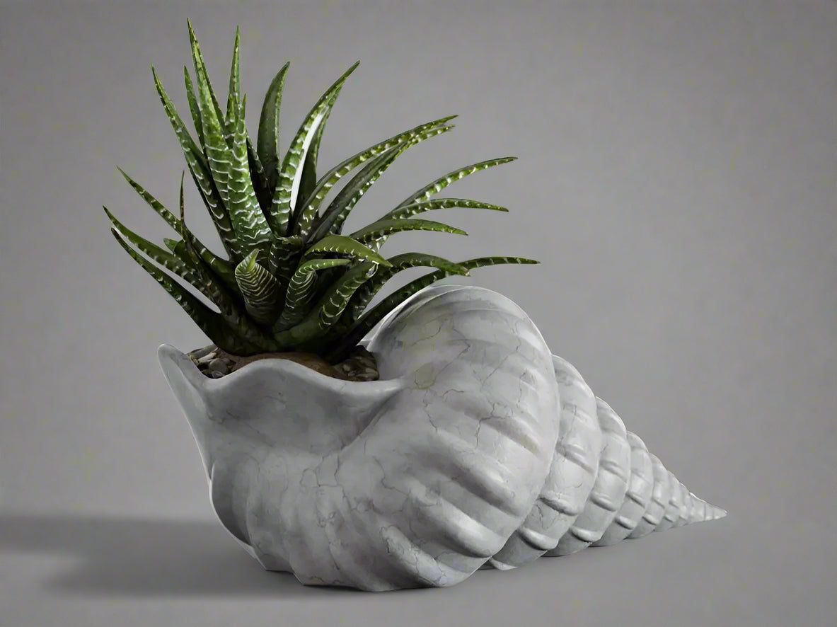 Elegant Seashell-Shaped Flower Pot