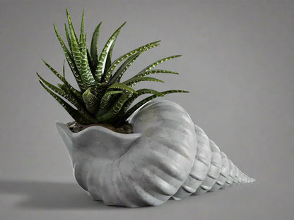 Elegant Seashell-Shaped Flower Pot