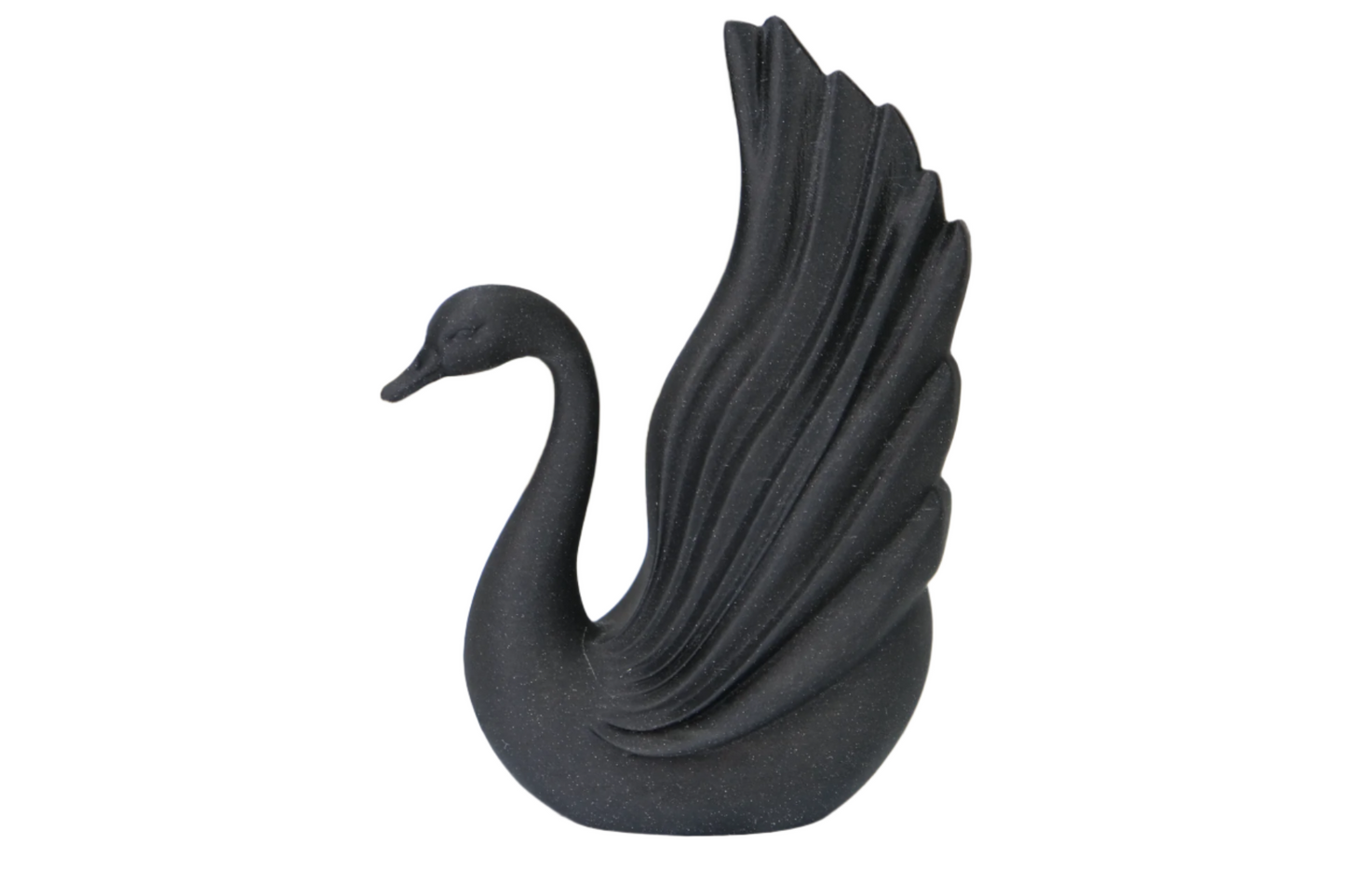 Black Swan Elegance