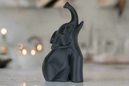 Modern Elephant Elegance
