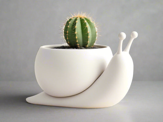 Whimsical Snail Planter