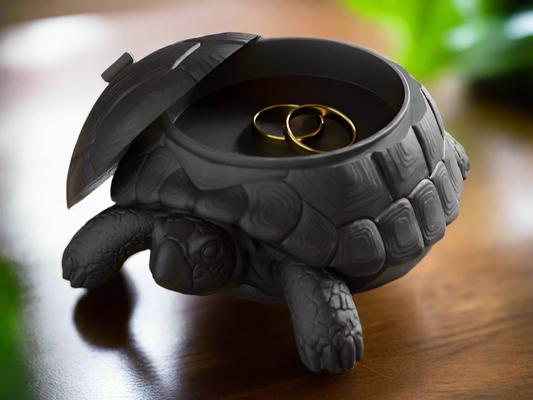 Turtle Jewelry Box