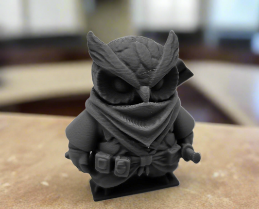 Ninja of Owls & Dragons