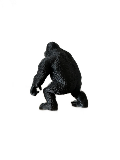 Silverback Gorilla