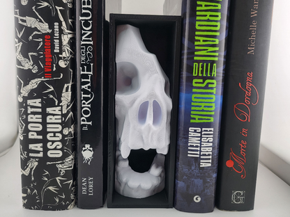Broken Skull Book Nook
