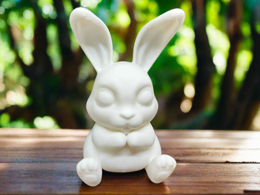 Cute Bunny