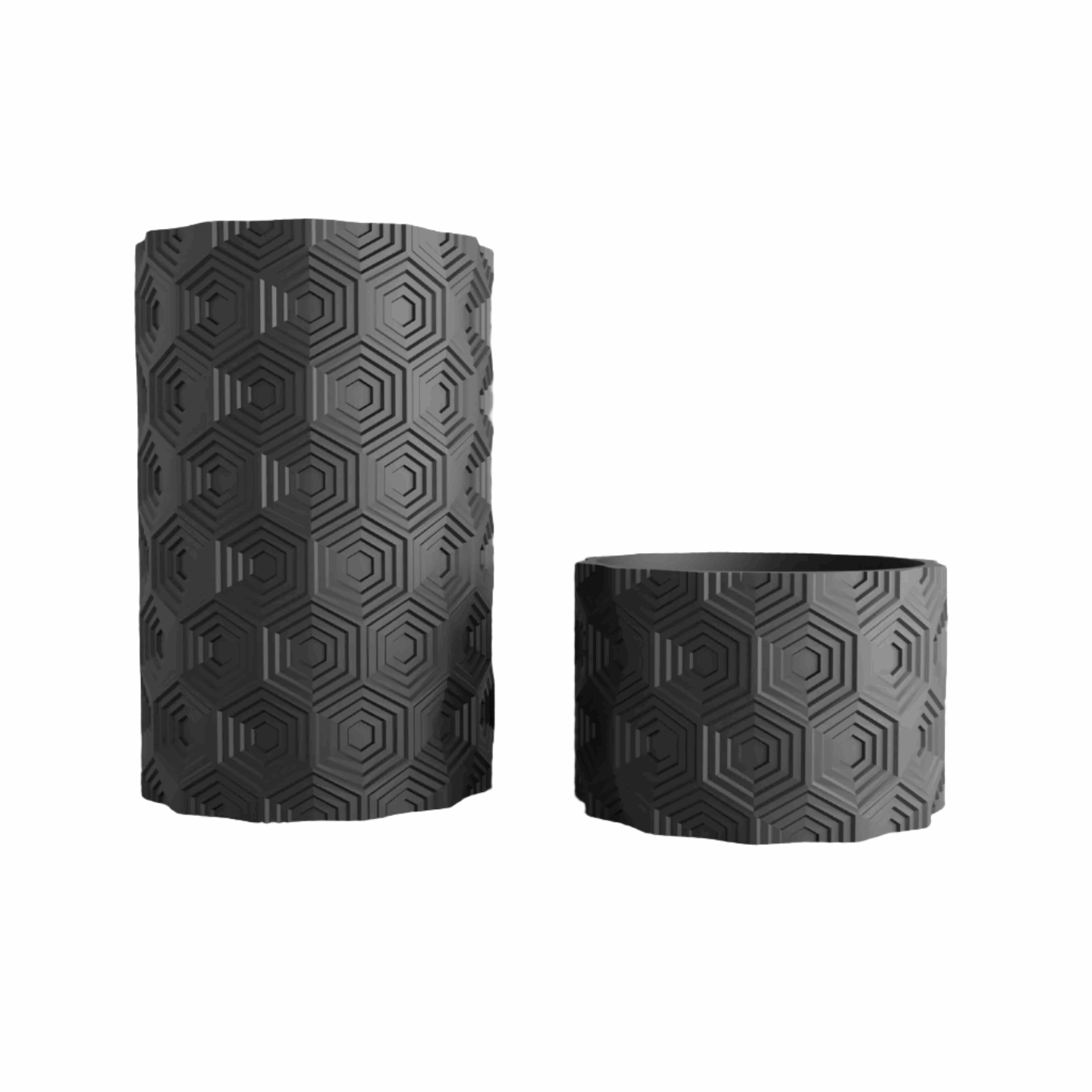 Dual Harmony Vases