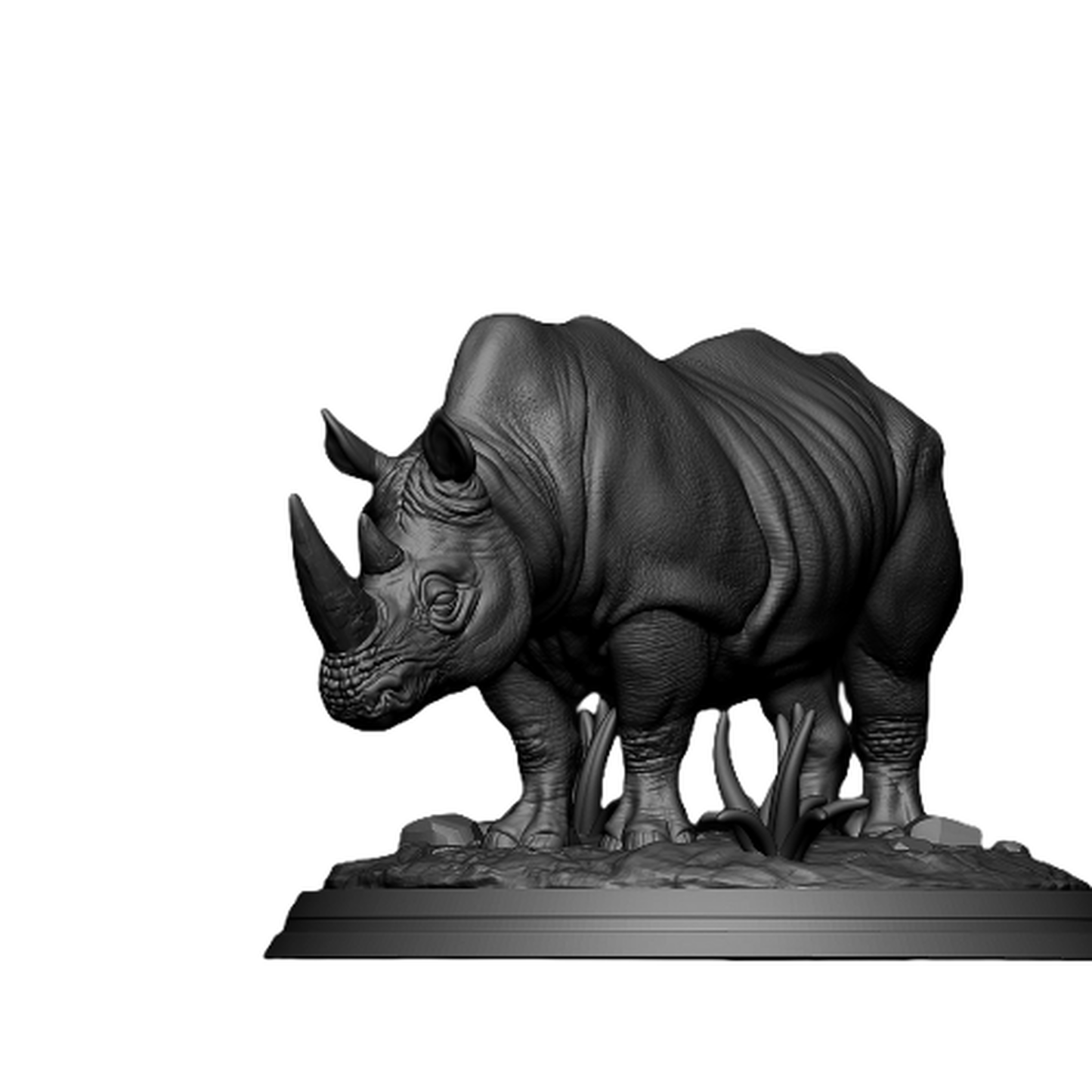 Robust Rhino Model