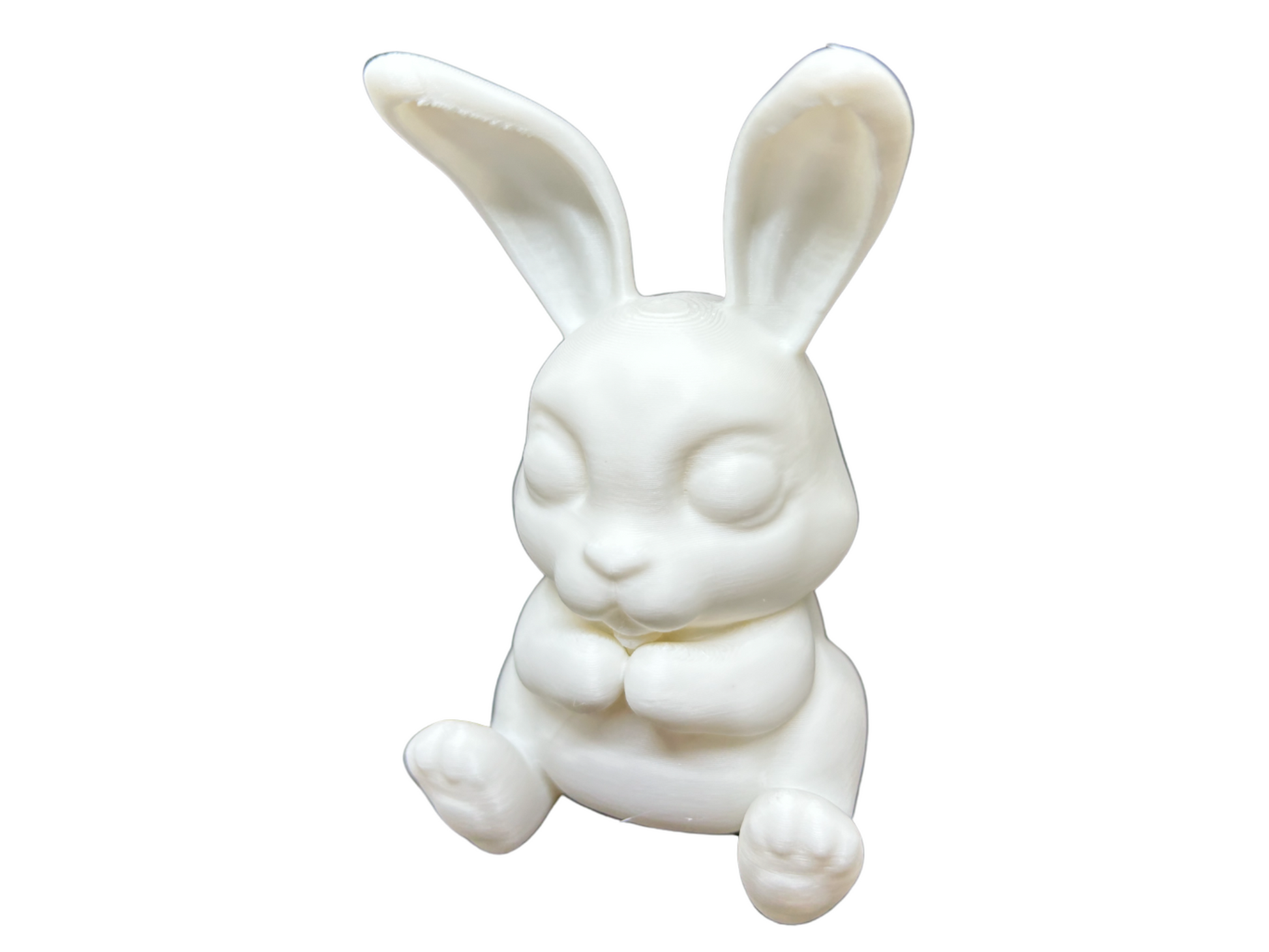 Cute Bunny