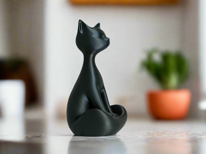 Black Cat Chic