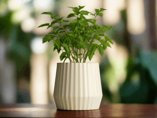 Plant Pot 6 - Modern Design