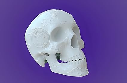 Decorative Skull Statue for Home or Halloween (White) - Celestial Crafts