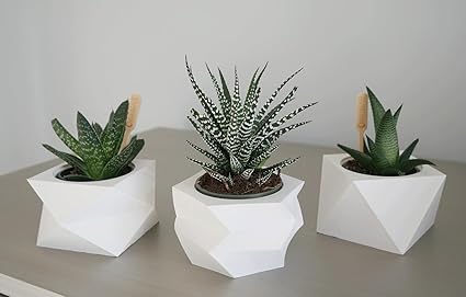 Set of 3 Geometric White Planters - Modern Indoor Decorative Pots (No Flowers) - Celestial Crafts