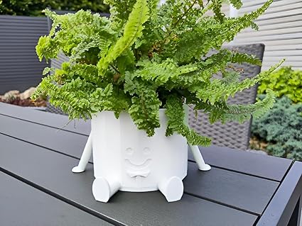 Adorable Smiling Planter with Legs - Unique Indoor/Outdoor Decorative Plant Pot (No Flowers) - Celestial Crafts