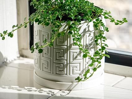 Elegant White 3D Printed Planter with Greek Key Design (No Flowers) - Celestial Crafts