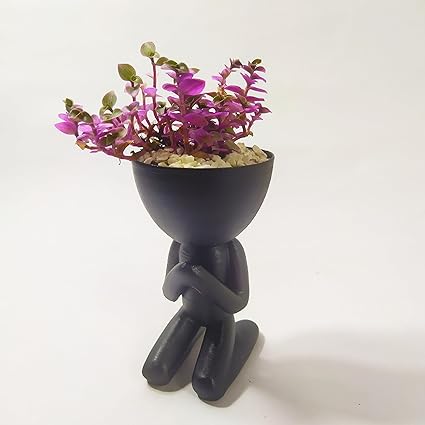 Home decor - Plant Pots for Home Decoration | Indoor Pots for Living Room | Decorative Pots for Indoor Plants Planter (No Flowers) - Celestial Crafts