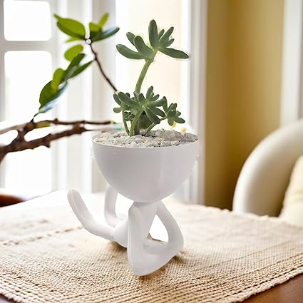 Home decor - Succulent Planter Pots for Home Decoration | Indoor Pots for Living Room | Decorative Pots for Indoor Plants (No Flowers) - Celestial Crafts