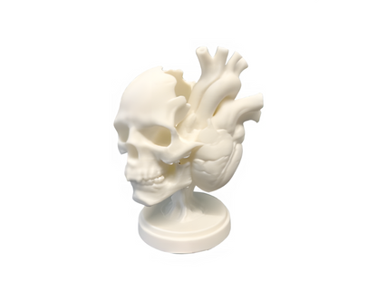 Skull Heart Sculpture Showpiece for Home Decor | Evolution Heart Skull India