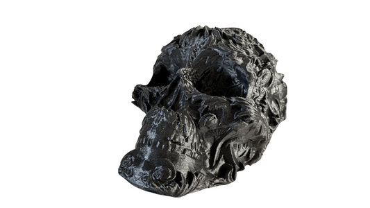 Fancy Skull Model