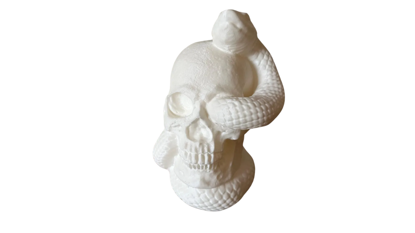 Snake Skull