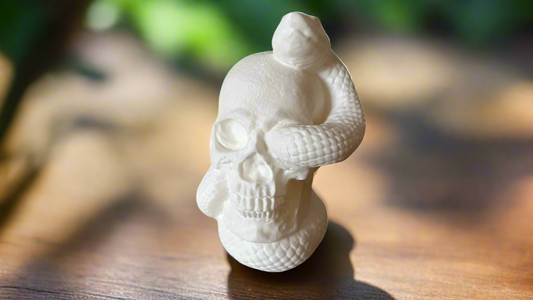 Snake Skull
