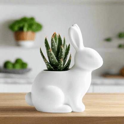 Cute Bunny Planter - Fun Pot Vase