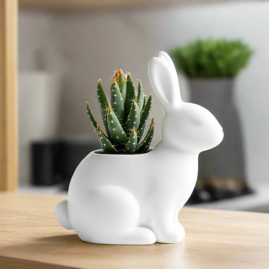 Cute Bunny Planter - Fun Pot Vase