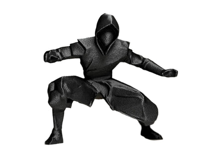 Shadow Ninja Warrior